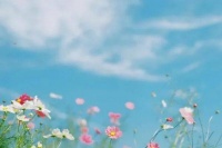 “你不把房子过户给我弟，我们只能分手”女生：好的