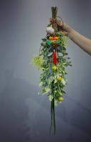 品鉴 | “天中五瑞”：端午节的花草习俗