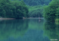 说真话，这样你就不必记得你说过什么了