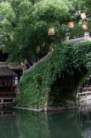 夏条绿已密，朱萼缀明鲜。周庄的夏日，活色生香 “夏”江南