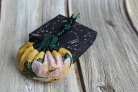 夜雨丨姚代云：中夏临端午