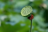 人老了才明白，命里的钱，是有因果的