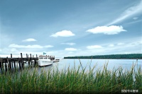 珍惜眼前，从内心寻找快乐和幸福