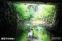 部编高中语文选择性必修 · 中册名篇名句默写 （含答案）