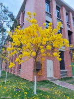 【古诗词鉴赏】两汉诗人曹植《七步诗》诗赏析