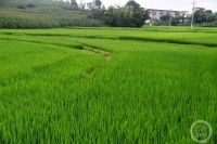 “盛夏”（138） | 上游主题摄影征稿作品展——黄河作品