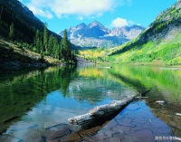 越来越多的人选择沉默