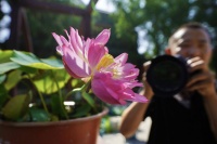 2023年北海公园荷花文化节开幕