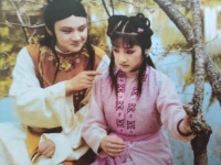 红楼梦：宝玉大婚后真的忘了黛玉吗？《红豆曲》给出了答案