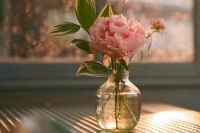 真正成熟的人：忍住火，熬住苦，扛住事