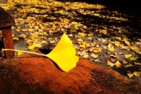 当你失意时，做好这三件事，你的好运往往会悄然来临