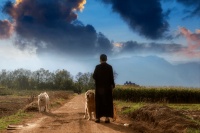 读书笔记 | 故乡的守望——读《一个人的村庄》有感