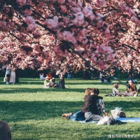 人格独立是善于合作