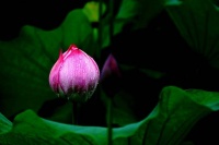 中年以后，过“低配”生活