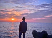 重读《变形记》：每一个负重前行的中年人，都是背着壳的甲虫