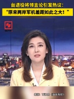 台退役将领言论引发热议：“原来两岸军机差距如此之大！”