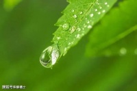 【古诗词鉴赏】宋代诗人陈与义《观雨》诗赏析