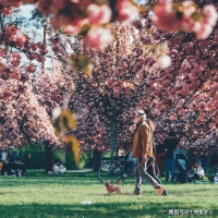 人生就像游乐园