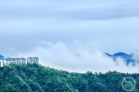 “盛夏”（157） | 上游主题摄影征稿作品展——张成勇作品