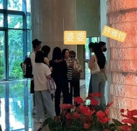 小S，王宝强马蓉，陈飞宇，杨紫，王鹤棣孟子义