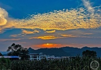 “盛夏”（158） | 上游主题摄影征稿作品展——冉小军作品