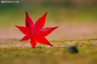 好的家庭关系，从这样“说话”开始