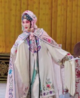 绕地游花似流转 集贤宾回眸情牵——记北昆名旦顾卫英倾情演出经典剧目《牡丹亭》