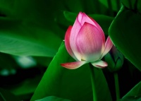 一个人修改自己的名字，说明了五种人生状况