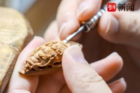 一见核雕“务”终身，苏州相城“85后”理工男刻画精巧大千世界