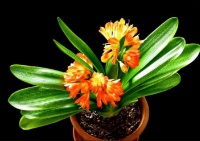 一个人生病、受苦、变穷、失去，是老天要渡他的征兆