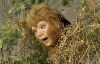 从五行山出来后，为何孙悟空不向如来报复？有一领域神通他悟不透