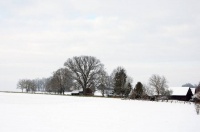 夜雨丨梁晓丽：父亲拍的老家雪景