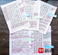 女生手抄百首王维诗，写满娟秀批注并配插图，为感知诗意还“摔过跤”