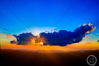 “盛夏”（173） | 上游主题摄影征稿作品展——张成勇作品