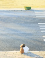 并不是只有披头散发坐在地上嚎啕大哭才是悲痛