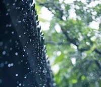 小暑诗词丨绿树荫里夏日长，满池荷花扑面香