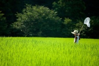 品读｜这世上并不存在“无用之事”