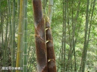 人民论坛：涵养“自找苦吃”的精气神