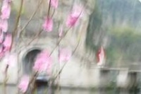 渝论 | “吃菌中毒照”入围摄影展，到底谁在打“混元太极”