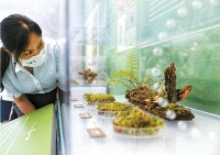 苔藓科普展在上海自然博物馆开幕 可更全面理解生物多样性