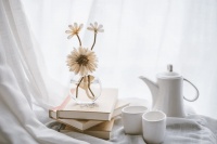 人生下半场，不和自己过不去，你就赢了