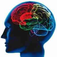 日媒文章：记忆如何塑造幸福人生