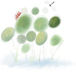 上新 | 流传百年的俳句漫谈经典