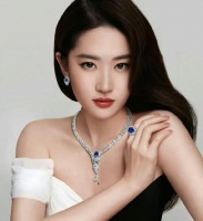 刘亦菲，TFBOYS，魏大勋，苗苗，王栎鑫