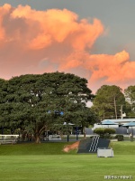 不能承受的生命之轻：我已无暇顾及过去，我要向前走