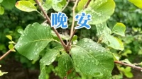 台风直奔华南去？