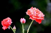 “我弟都还没有买房，你怎么好意思换车？”女人:这是我的钱