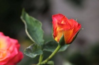 一个男人，能够长时间不联系你，意味着一件事