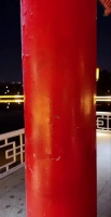 那你现在有多变态呀姐姐