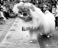 舞狮的流派与进化